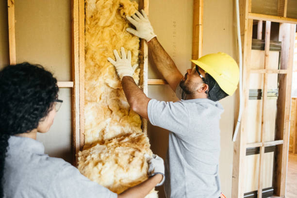 Best Insulation Inspection Services  in Lakeside, TX