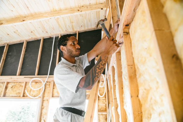 Best Insulation Repair Services  in Lakeside, TX