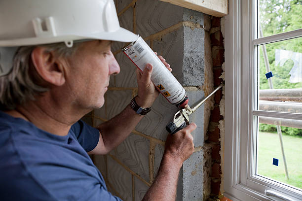 Best Insulation Replacement Services  in Lakeside, TX